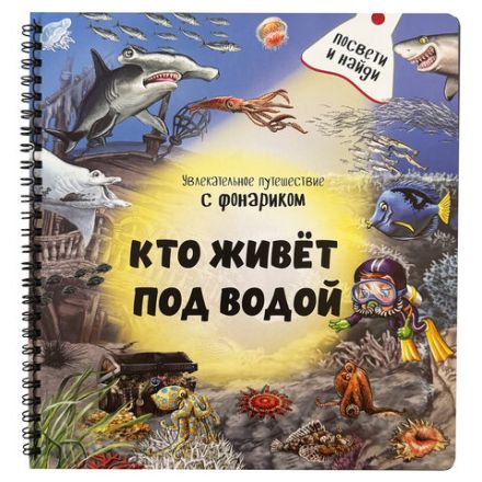 Книжка с фонариком "Познаю мир", 210х230 мм, 12 страниц, АССОРТИ, Бимбимон