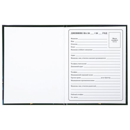 Дневник 1-4 класс 48 л., твердый, BRAUBERG, глянцевая ламинация, с подсказом, "CATS & DUCK", 106831