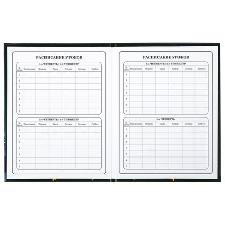 Дневник 1-4 класс 48 л., твердый, BRAUBERG, глянцевая ламинация, с подсказом, "CATS & DUCK", 106831