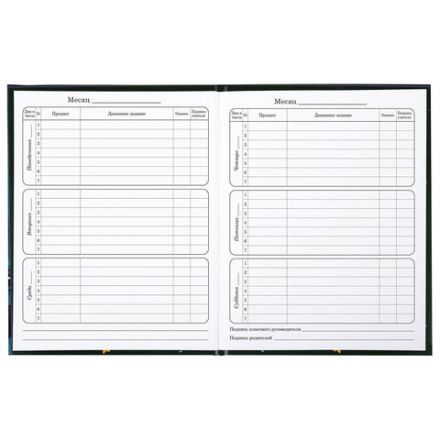 Дневник 1-4 класс 48 л., твердый, BRAUBERG, глянцевая ламинация, с подсказом, "CATS & DUCK", 106831