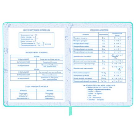 Дневник для музыкальной школы 170х215 мм, 48 л., обложка кожзам твердая, фольга, BRAUBERG, справочный материал, КОТИК, 107367