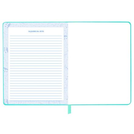 Дневник для музыкальной школы 170х215 мм, 48 л., обложка кожзам твердая, фольга, BRAUBERG, справочный материал, КОТИК, 107367