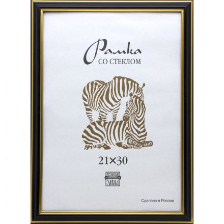 Рамка Зебра А4 21х30 см пластиковый багет 19 мм черная