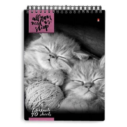 Блокнот А5, 40 л., гребень, ламинированный картон, клетка, Альт, "Кошки", (5 видов), 3-40-462 Блокнот А5, 40 л., гребень, ламинированный картон, клетка, Альт, "Кошки", (5 видов), 3-40-462