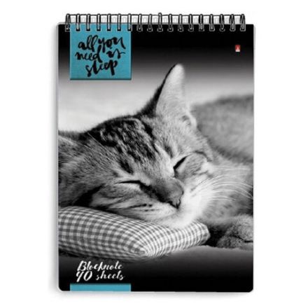 Блокнот А5, 40 л., гребень, ламинированный картон, клетка, Альт, "Кошки", (5 видов), 3-40-462 Блокнот А5, 40 л., гребень, ламинированный картон, клетка, Альт, "Кошки", (5 видов), 3-40-462