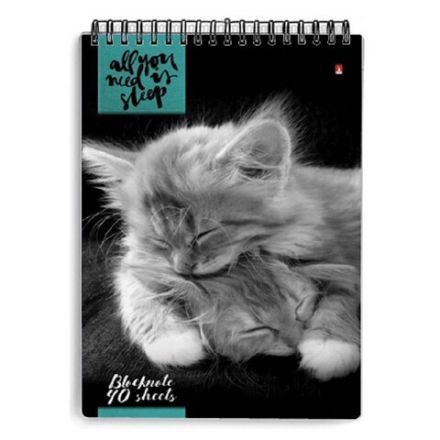 Блокнот А5, 40 л., гребень, ламинированный картон, клетка, Альт, "Кошки", (5 видов), 3-40-462 Блокнот А5, 40 л., гребень, ламинированный картон, клетка, Альт, "Кошки", (5 видов), 3-40-462