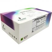 Тест на выявление Д-димера-ИХА, Rapid Bio, 20 шт/уп Тест на выявление Д-димера-ИХА, Rapid Bio, 20 шт/уп