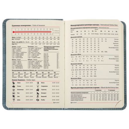 Ежедневник недатированный МАЛЫЙ 100х150 мм А6 BRAUBERG "Status", под кожу, 160 л., серо-голубой, 113369