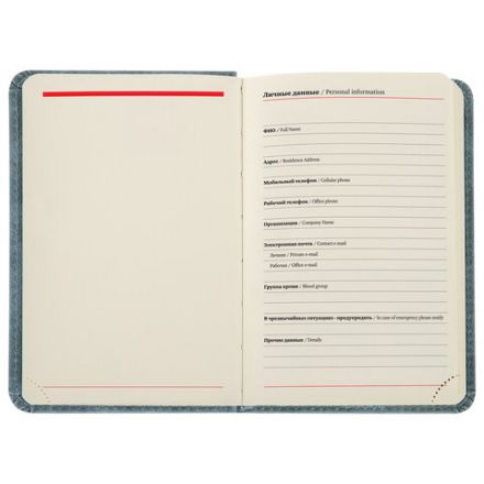 Ежедневник недатированный МАЛЫЙ 100х150 мм А6 BRAUBERG "Status", под кожу, 160 л., серо-голубой, 113369