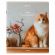 Тетрадь А5, 48 л., BRAUBERG, скоба, клетка, матовая ламинация, "Cats", (микс в спайке), 405334