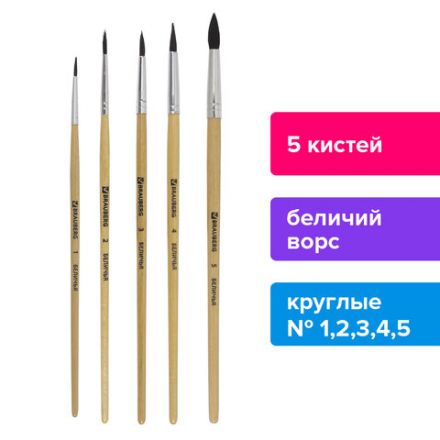 Кисти BRAUBERG, набор 5 шт. (белка, круглые № 1, 2, 3, 4, 5), блистер, 200217