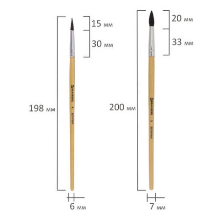 Кисти BRAUBERG, набор 5 шт. (белка, круглые № 1, 2, 3, 4, 5), блистер, 200217