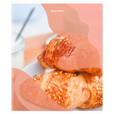 Тетрадь А5, 48 л., BRAUBERG, скоба, клетка, матовая ламинация, выборочный лак, "Sweets" (микс в спайке), 404373