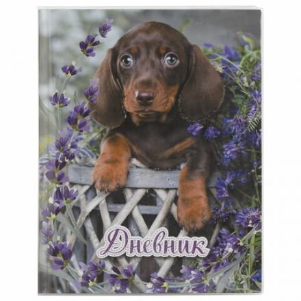 Обложка ПП со штрихкодом для дневников в твердом переплете, учебников МАЛОГО ФОРМАТА, ПЛОТНАЯ, 100 мкм, 225х455 мм, ЮНЛАНДИЯ, 229349