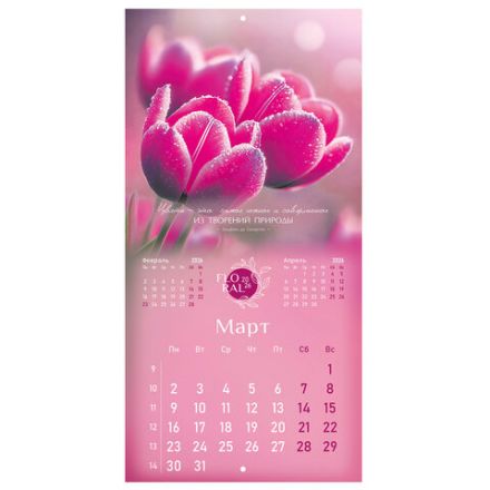 Календарь настенный перекидной 2026 г., BRAUBERG, 12 листов, 28,5х28,5 см, "Floral", 116939