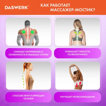Массажер для спины/мостик для растяжки PREMIUM, 3 уровня нагрузки, фиолетовая вставка, DASWERK (ДАСВЕРК), 680036