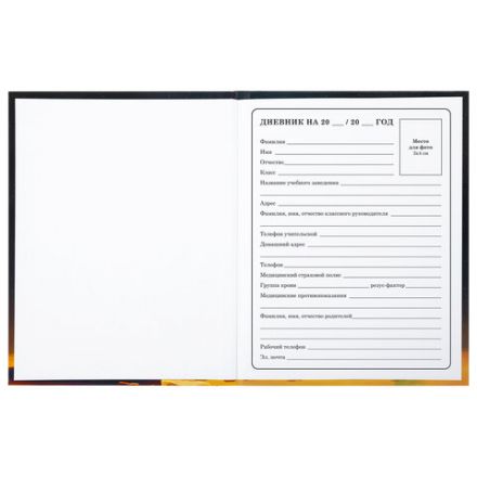 Дневник 1-4 класс 48 л., твердый, BRAUBERG, глянцевая ламинация, с подсказом, "Милый котик", 106835