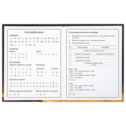 Дневник 1-4 класс 48 л., твердый, BRAUBERG, глянцевая ламинация, с подсказом, "Милый котик", 106835