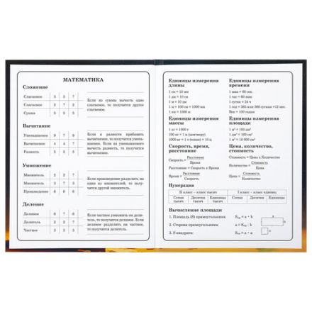 Дневник 1-4 класс 48 л., твердый, BRAUBERG, глянцевая ламинация, с подсказом, "Милый котик", 106835