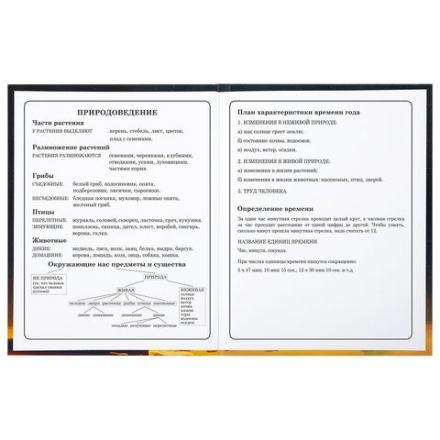 Дневник 1-4 класс 48 л., твердый, BRAUBERG, глянцевая ламинация, с подсказом, "Милый котик", 106835