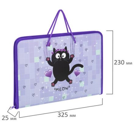 Папка для труда на молнии с ручками ПИФАГОР А4, 1 отделение, пластик, органайзер, "Falling cat", 272226 Папка для труда на молнии с ручками ПИФАГОР А4, 1 отделение, пластик, органайзер, "Falling cat", 272226