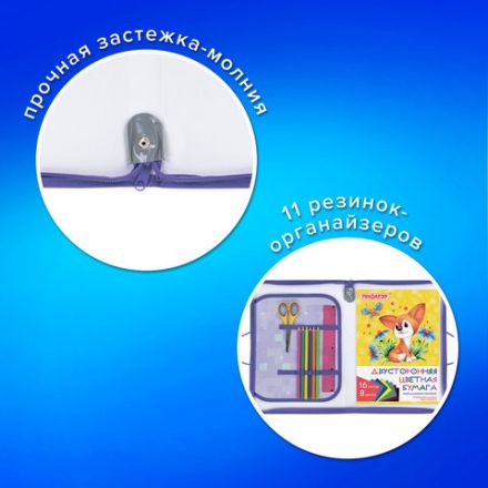 Папка для труда на молнии с ручками ПИФАГОР А4, 1 отделение, пластик, органайзер, "Falling cat", 272226 Папка для труда на молнии с ручками ПИФАГОР А4, 1 отделение, пластик, органайзер, "Falling cat", 272226