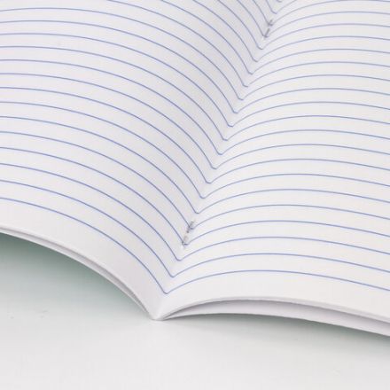 Тетрадь 18 л. BRAUBERG "ЭКО", линия, обложка картон 170 г/м2, ЗЕЛЕНАЯ ПАСТЕЛЬНАЯ, 105677