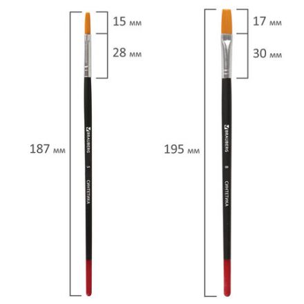 Кисти BRAUBERG, набор 5 шт. (синтетика, круглые № 1, 2, 5, плоские № 5, 8), блистер, 200219