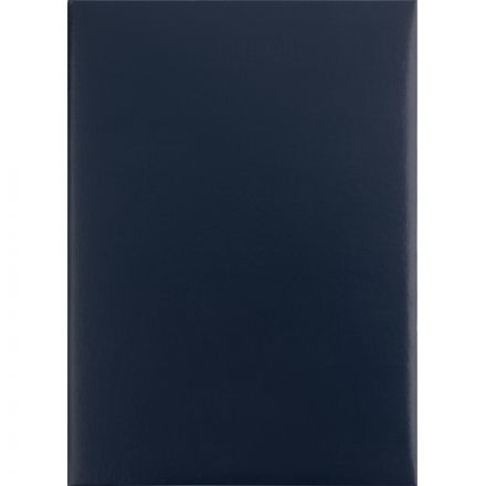 Папка адресная без тиснения бумвинил с поролоном синяя