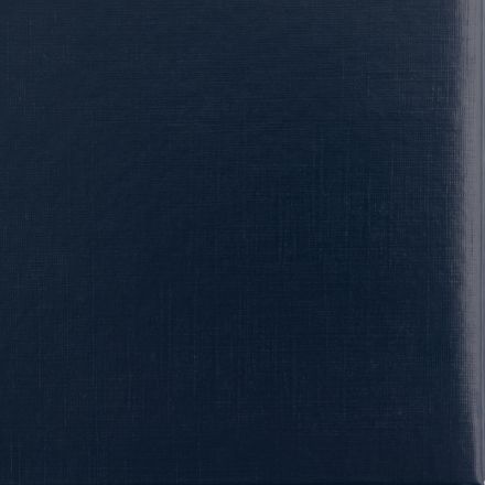 Папка адресная без тиснения бумвинил с поролоном синяя