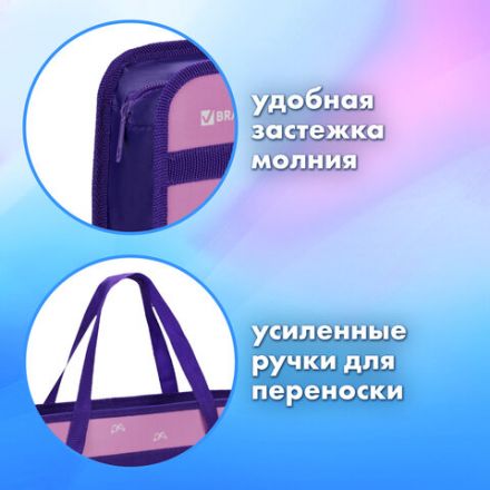 Папка на молнии с ручками BRAUBERG А4, 1 отделение, пластик, 80 мм, "Black Cat", 270122