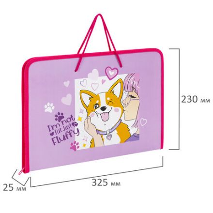 Папка для труда на молнии с ручками ПИФАГОР А4, 1 отделение, пластик, органайзер, "Fluffy akita", 272227 Папка для труда на молнии с ручками ПИФАГОР А4, 1 отделение, пластик, органайзер, "Fluffy akita", 272227