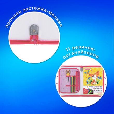 Папка для труда на молнии с ручками ПИФАГОР А4, 1 отделение, пластик, органайзер, "Fluffy akita", 272227 Папка для труда на молнии с ручками ПИФАГОР А4, 1 отделение, пластик, органайзер, "Fluffy akita", 272227