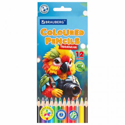 Карандаши цветные "АССОРТИ 8 ДИЗАЙНОВ 7-14 лет", 12 цветов, трехгранные, BRAUBERG, 182056