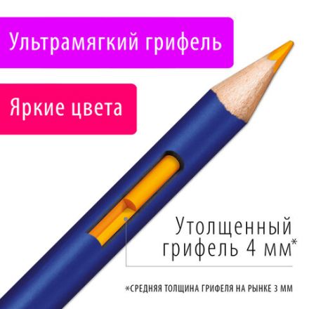 Карандаши художественные цветные акварельные BRAUBERG ART PREMIERE, 24 цвета, грифель 4 мм, металл, 181534