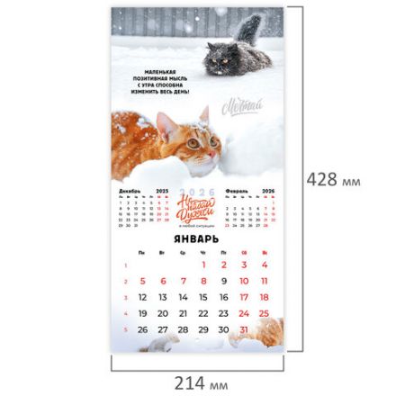 Календарь настенный перекидной 2026г, BRAUBERG, 12 листов, 21,3х21,3см, МИНИ, Не падай духом, 116942
