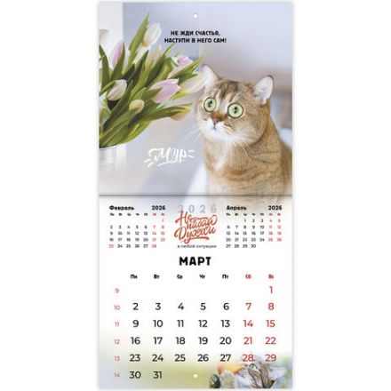 Календарь настенный перекидной 2026г, BRAUBERG, 12 листов, 21,3х21,3см, МИНИ, Не падай духом, 116942