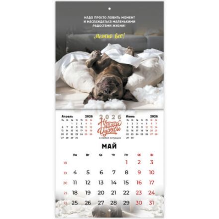 Календарь настенный перекидной 2026г, BRAUBERG, 12 листов, 21,3х21,3см, МИНИ, Не падай духом, 116942