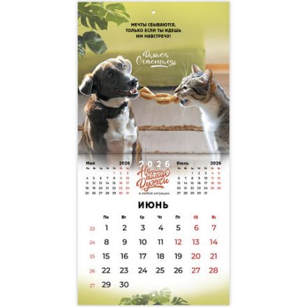 Календарь настенный перекидной 2026г, BRAUBERG, 12 листов, 21,3х21,3см, МИНИ, Не падай духом, 116942