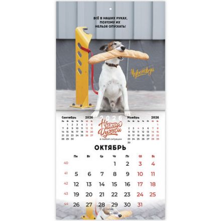Календарь настенный перекидной 2026г, BRAUBERG, 12 листов, 21,3х21,3см, МИНИ, Не падай духом, 116942