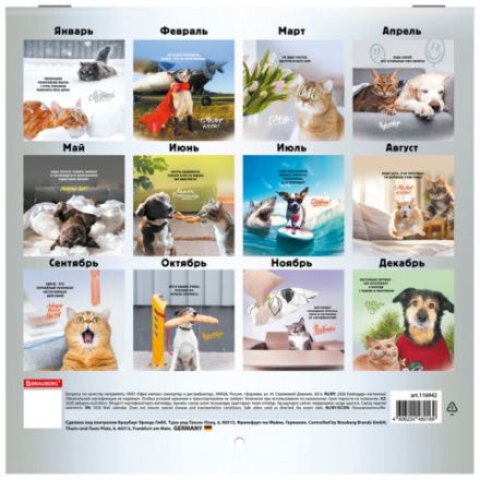 Календарь настенный перекидной 2026г, BRAUBERG, 12 листов, 21,3х21,3см, МИНИ, Не падай духом, 116942