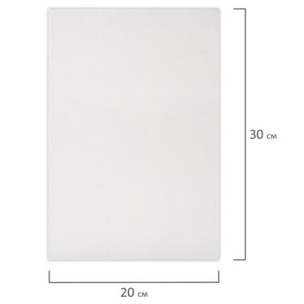 Холст на подрамнике BRAUBERG ART BASIC, 20х30 см, 280 г/м2, хлопок, мелкое зерно, грунт, 192665