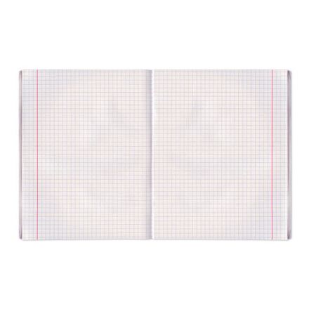 Тетрадь бумвинил А5, 48 л., скоба, офсет №2 ЭКОНОМ, клетка, с полями, STAFF, СИНИЙ, 402018