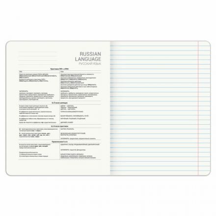 Тетрадь предметная PIGMENT 48 л., глянцевый УФ-лак, РУССКИЙ ЯЗЫК, линия, подсказ, BRAUBERG, 404767