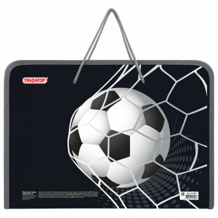 Папка для труда на молнии с ручками ПИФАГОР А4, 1 отделение, пластик, органайзер, "Ball kick", 272229 Папка для труда на молнии с ручками ПИФАГОР А4, 1 отделение, пластик, органайзер, "Ball kick", 272229