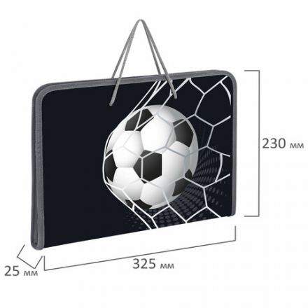 Папка для труда на молнии с ручками ПИФАГОР А4, 1 отделение, пластик, органайзер, "Ball kick", 272229 Папка для труда на молнии с ручками ПИФАГОР А4, 1 отделение, пластик, органайзер, "Ball kick", 272229
