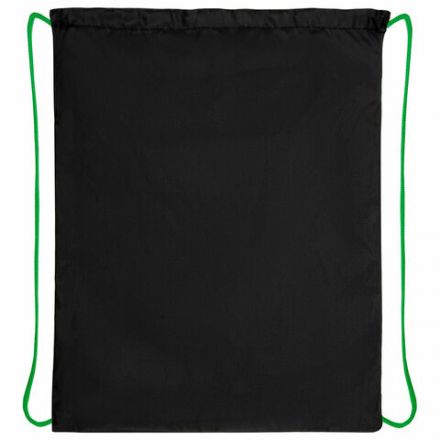 Мешок для обуви ПИФАГОР, 1 отделение, 42х34 см, "Dino roar", 272387