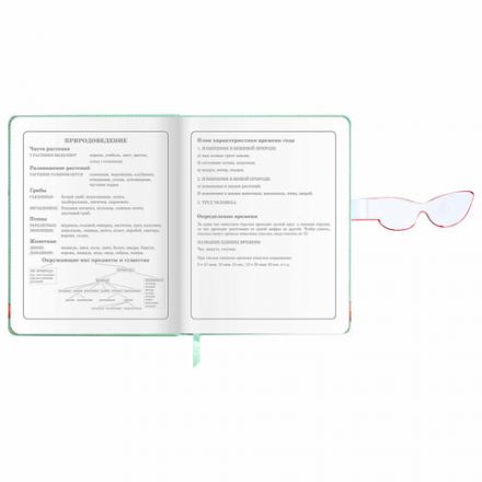 Дневник 1-4 класс 48 л., кожзам (твердая), застежка, ЮНЛАНДИЯ, "Корги в Очках", 106210
