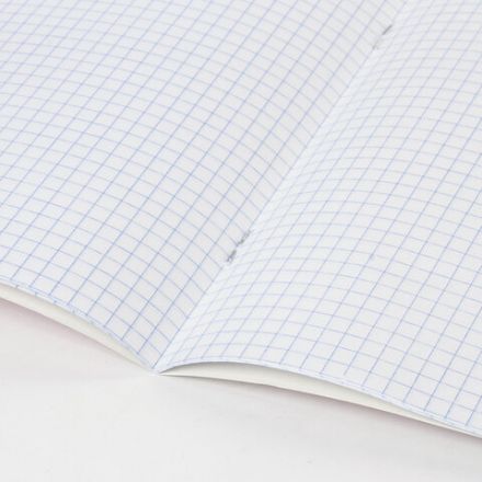 Тетрадь 24 л. BRAUBERG, клетка, обложка картон, ЧЕРТЕЖИ И ФОРМУЛЫ, 403008