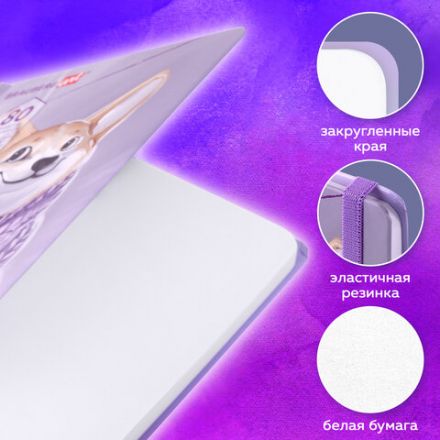 Скетчбук, белая бумага 80 г/м2, 145х203 мм, 80 л., резинка, твердый, BRAUBERG ART DEBUT "Корги", 114579